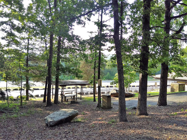 View from my campsite, Salado Rest Area, Highway 167, Arkansas. June 2020.