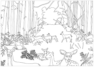 Sketsa Gambar  Mewarnai Pemandangan Hutan Hitam Putih 