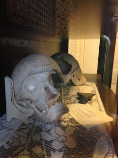 Borden Reproduction Skulls