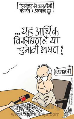 mahangai cartoon, price hike, inflation cartoon, pranab mukherjee cartoon, election 2014 cartoons, assembly elections 2012 cartoons