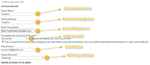 Cara Melaporkan Blog Copas Ke Google DMCA