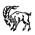 Capricorn zodiac image