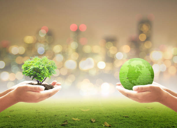 Environmental Management