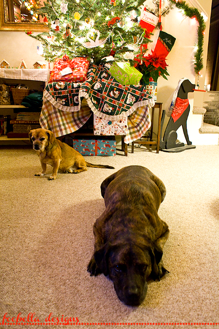 Magnum and Mollie under the Christmas Tree via foobella.blogspot.com