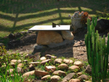 DSC00843.CUFLnWXHDA1t.jpg
