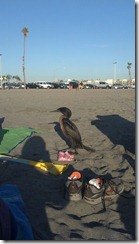 2011-10-09_17-25-02_897