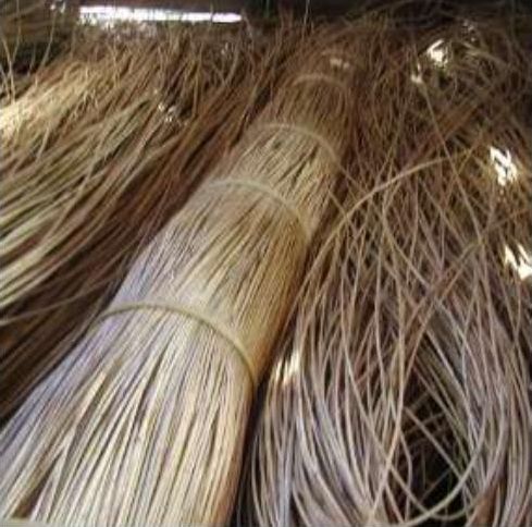 Rotan Borneo Komoditi Rotan Indonesia