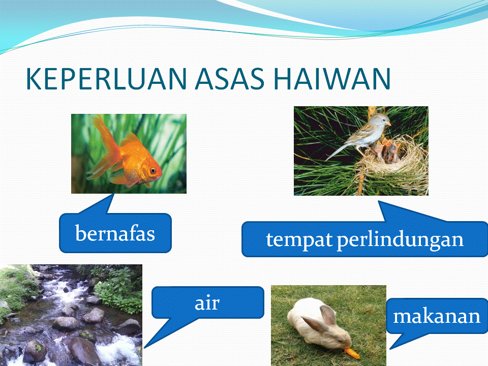 Dunia Sains dan Teknologi (Belajar dengan Ceria): DST 