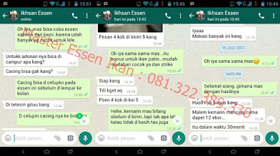 Essen Oplosan Untuk Indukan Ikan Lele