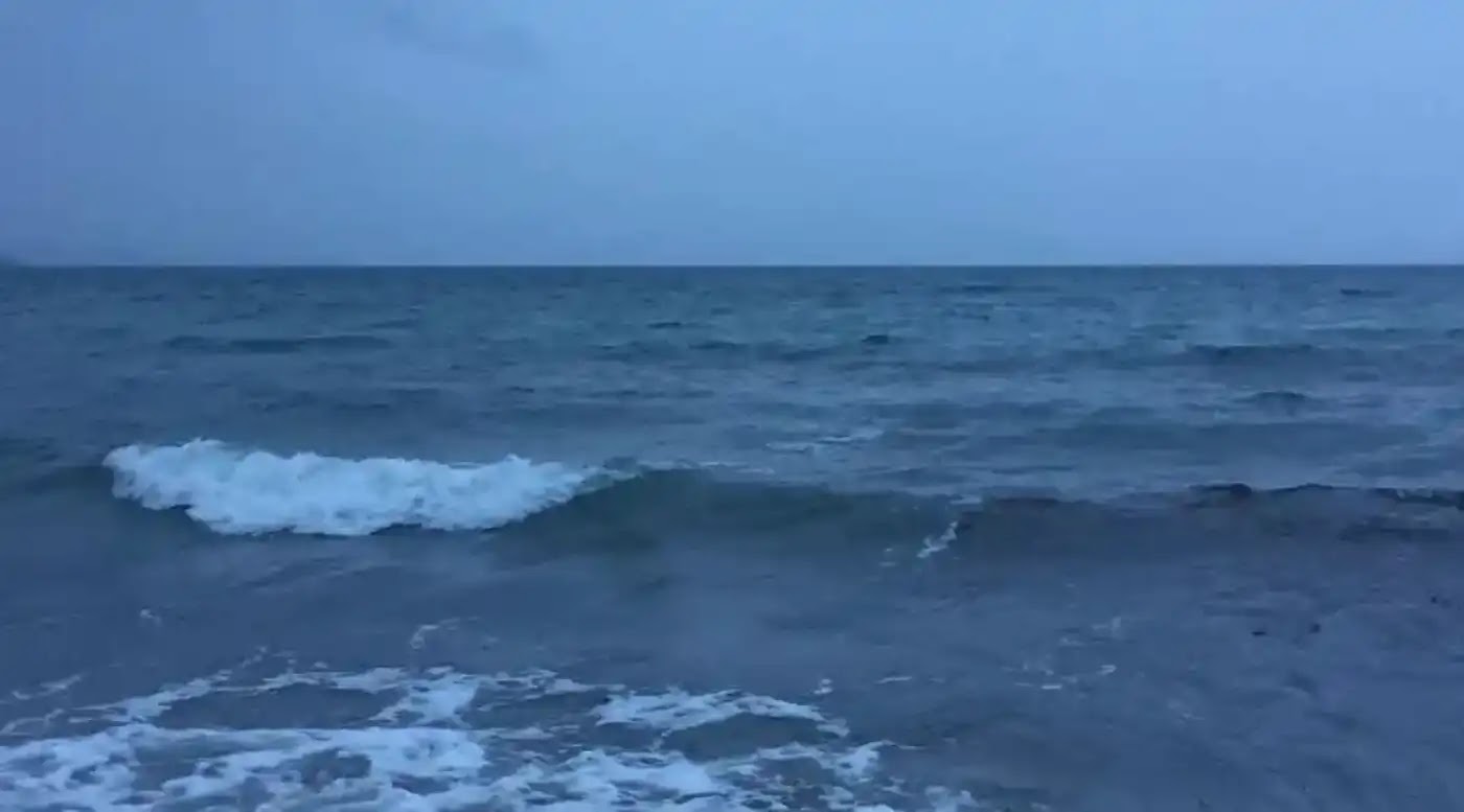 Μωβ μέδουσες, Εύβοια, χάρτης, επικίνδυνες περιοχές