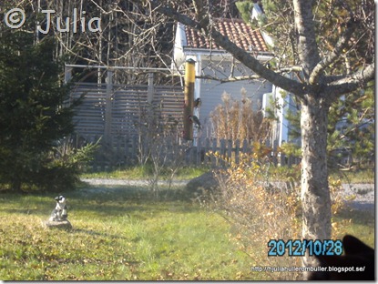 PICT0887