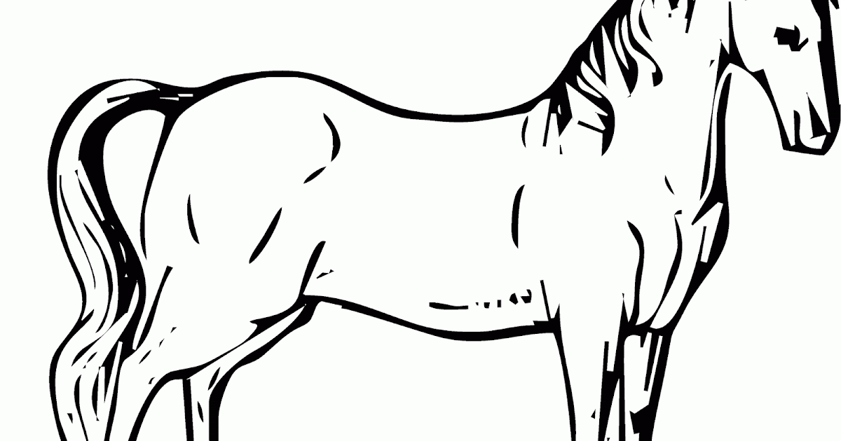 Mewarnai Gambar Kuda Tampak Nyata - Contoh Anak PAUD
