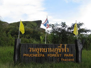 Phu Chi Fa Forest Park Chiangrai