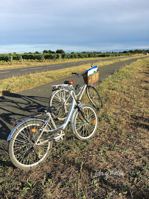 Ruta Oeste Francia bicicletas