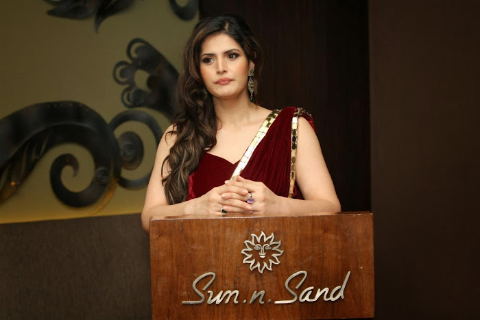 zarine khan glamorous in saree unseen pics