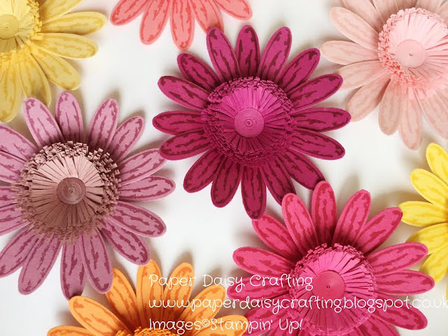 Qullled fringed flowers with daisy delight from Stampin Up