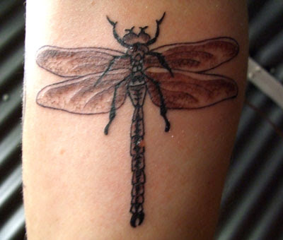  shimmering Dragonflies Tattoos either on their lower backs, 