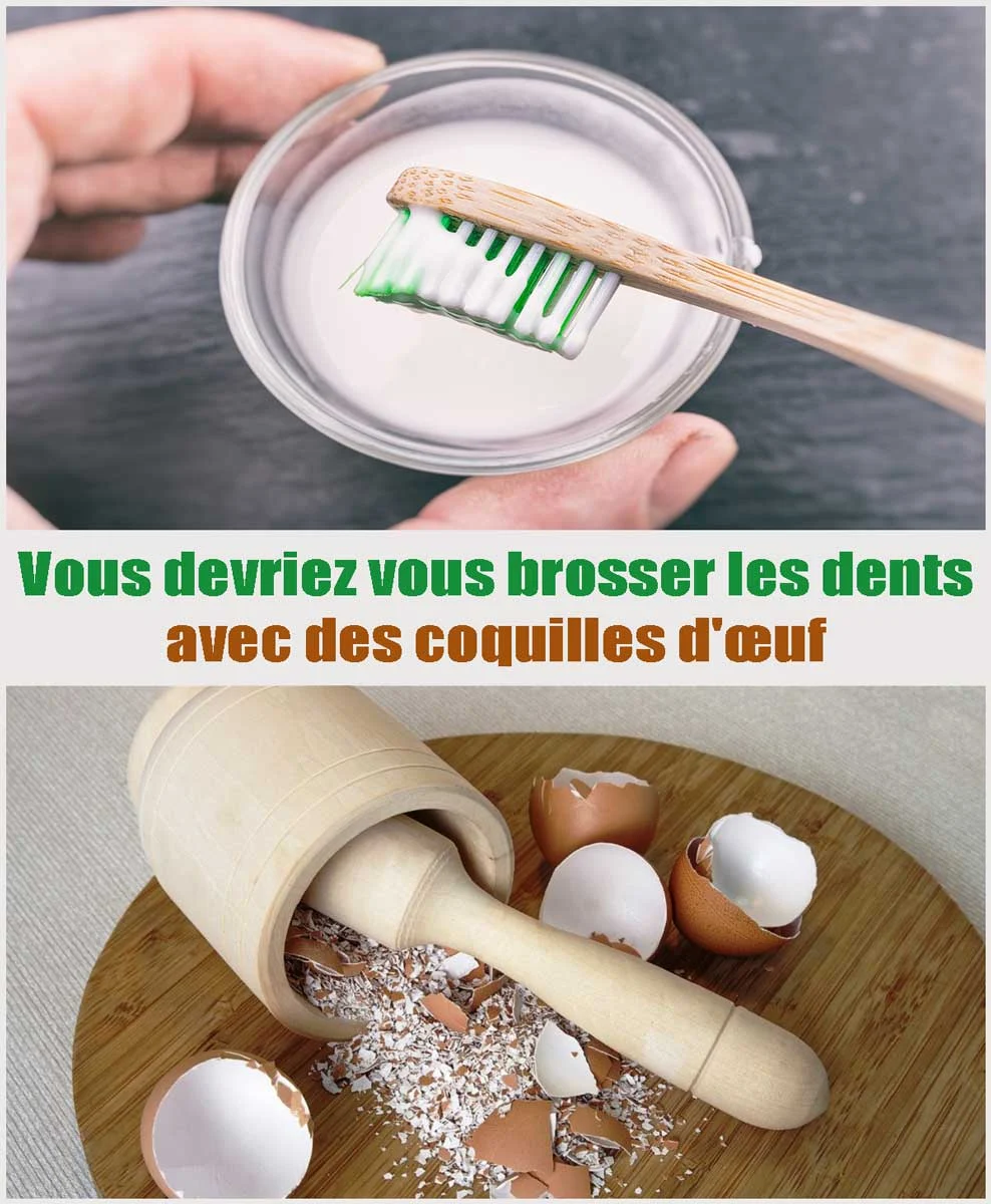 Vous devriez vous brosser les dents avec des coquilles d'œuf