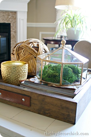 light fixture terrarium
