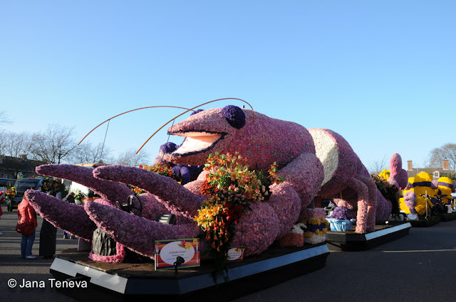 Bloemencorso 2013 Holland