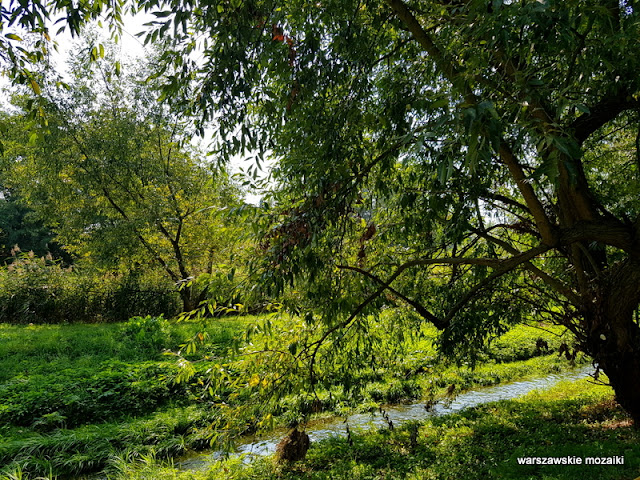 Warszawa Warsaw Mokotów park parki teren zielony Dolinka Służewiecka drzewa