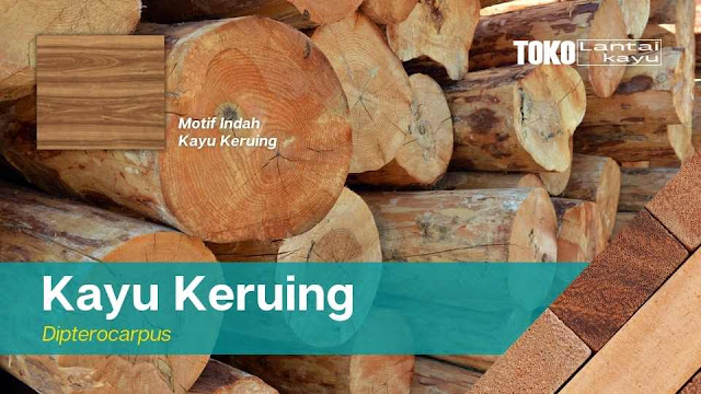 Kayu Keruing