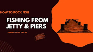 How to rock fish from jetties and piers? Fishing tips and tricks