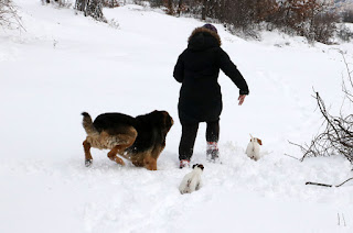 Making their way through the snow