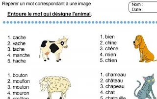 أنشطة  داعمة في الفرنسية المستوى الثاني ابتدائي Repérer un mot correspondant à une image