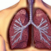 6 benda Yang Tampak Biasa Dirumah Tapi Berbahaya Bagi Paru-paru