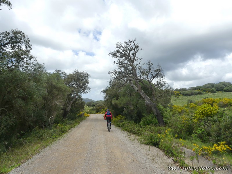 Carril Cicloturista Camino de Ojén