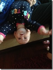 IMG_0594 IMG_0594