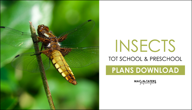 Insects Tot School & Preschool Plans