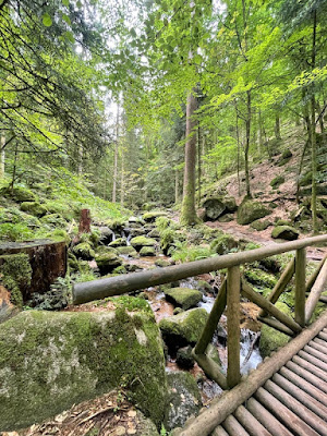 Gertelbacher Wasserfalle Foresta Nera