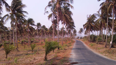 Jalan ke Ciletuh