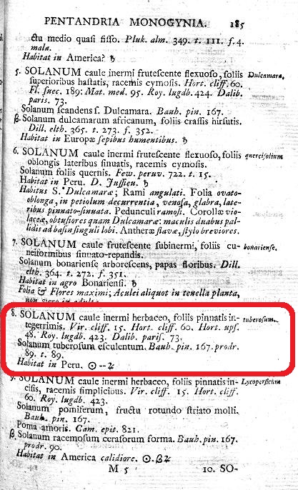 Описание картофеля в работе Карла Линнея «Species Plantarum» (том 1, стр. 185)