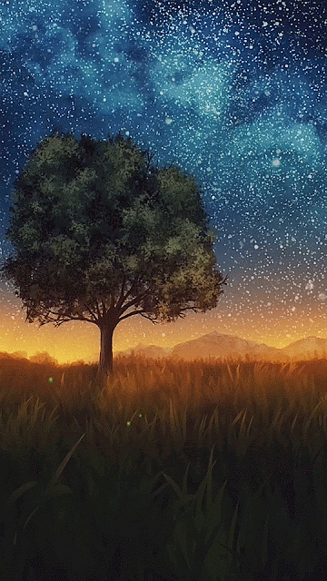 Hình nền động phong cảnh bầu trời đêm đầy sao