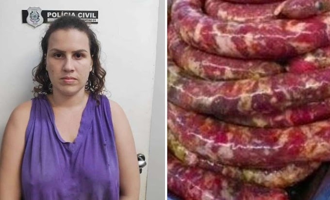 BRASIL:  QUANDO VOCÊ PENSA QUE JÁ VIU DE TUDO, UMA FAMÍLIA FAZIA LINGUIÇA COM CARNE DE CÃES E GATOS E VENDIA EM FEIRA LIVRE