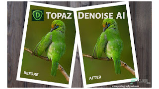 Topaz DeNoise AI 2.2.2 Free Download 