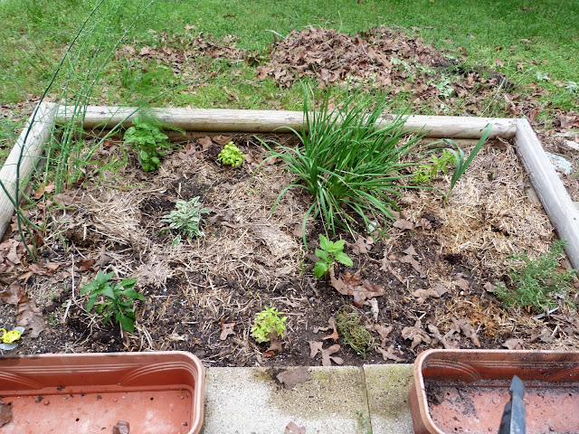 herb garden