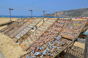 NazaréPortugal ***Seca do peixe no . (nazarã© portugal seca do peixe na praia )