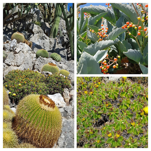 Jardin Exotique de Monaco