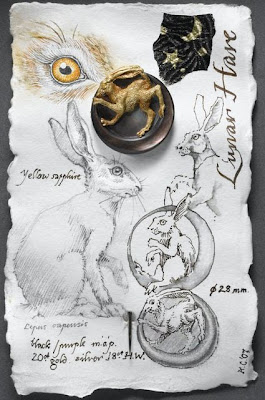 kevin coates lunar hare 