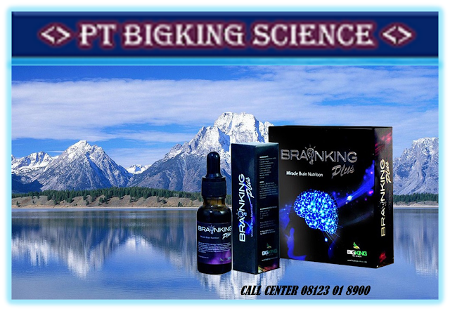 Brainking plus 08123 01 8900