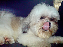 Sam =)