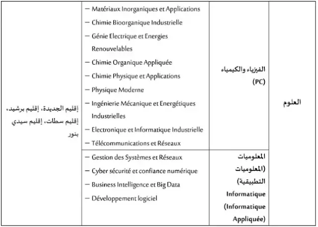 مسالك الاجازة بجامعة محمد الاول وجدة