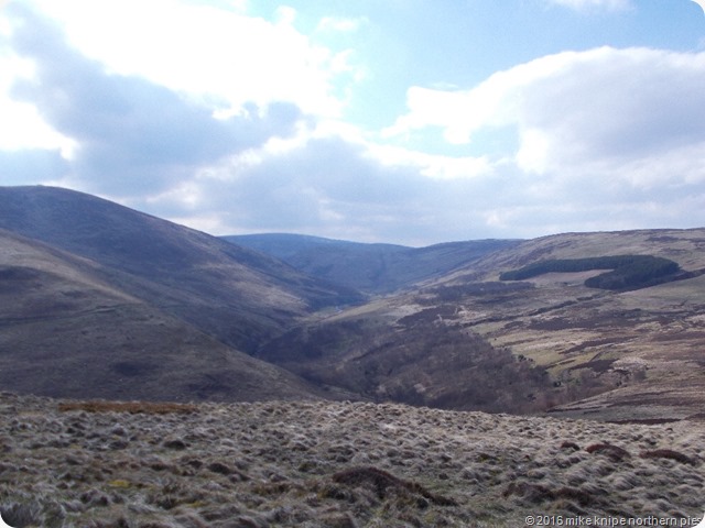 ingram valley 011