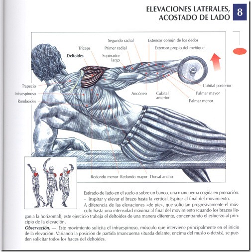 elevaciones-laterales-acostado-de-lado