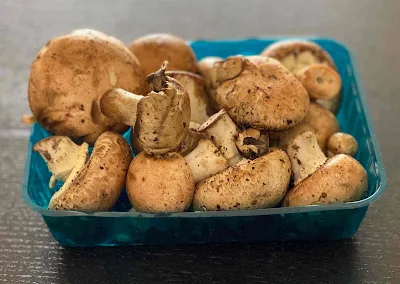 Mushroom dealers in Mumbai