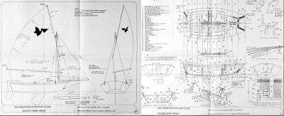 Design Feature No. 2: San Francisco Pelican